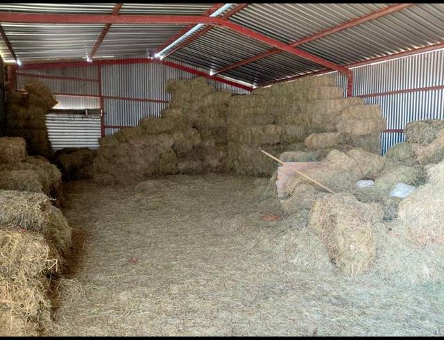 FARM FOR SALE IN BOSCHFONTEIN AH
